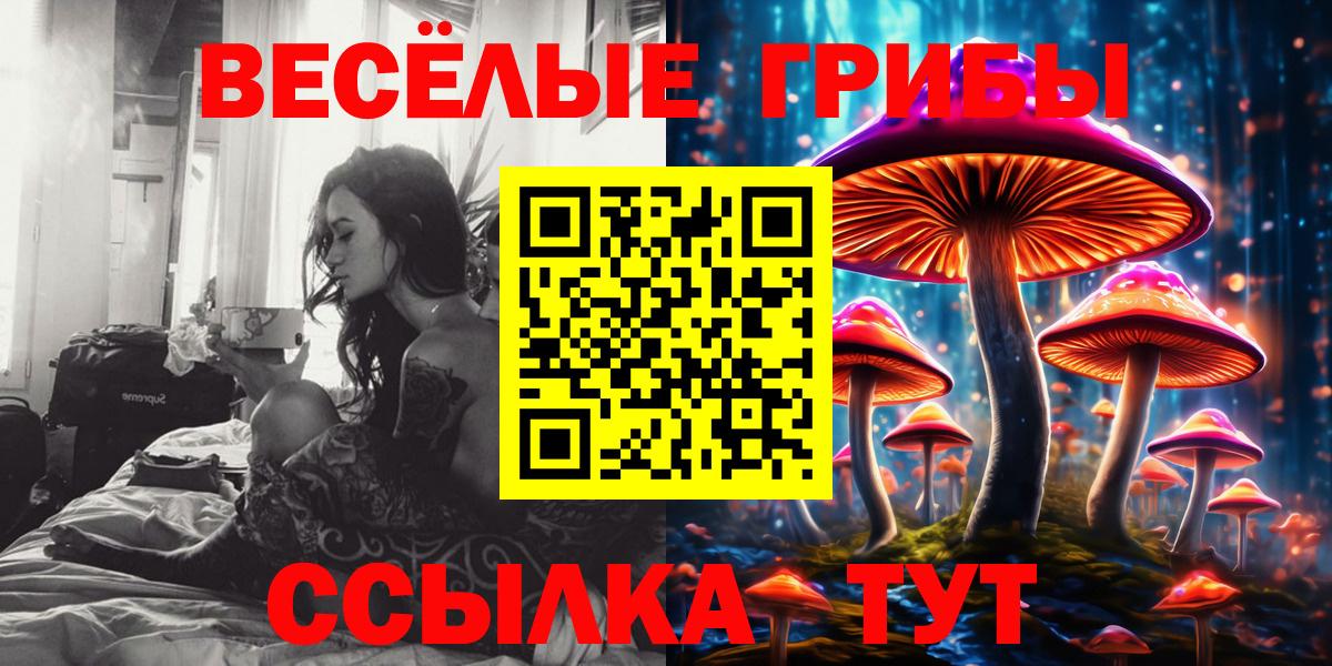 Псилоцибиновые грибы Cubensis Губаха