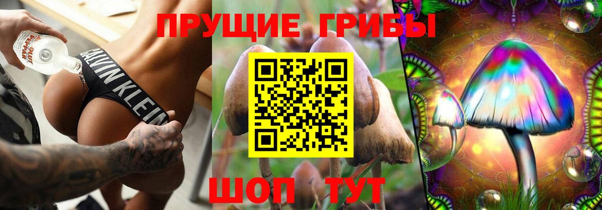 Галлюциногенные грибы Psilocybe  Вход с VPN  Губаха 