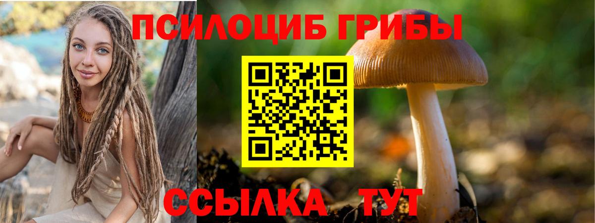 Галлюциногенные грибы прущие грибы Губаха